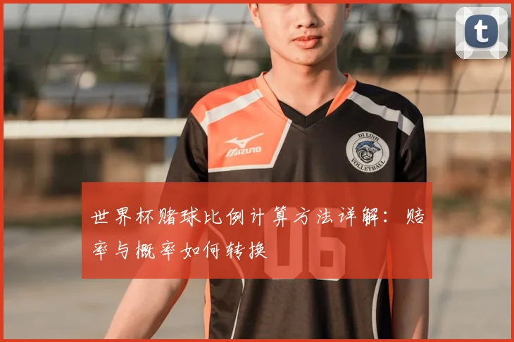 世界杯赌球比例计算方法详解：赔率与概率如何转换