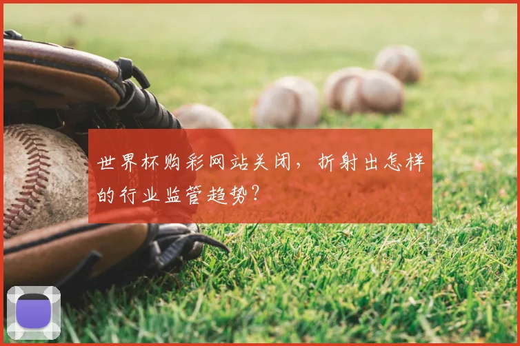 世界杯购彩网站关闭，折射出怎样的行业监管趋势？