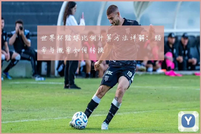 世界杯赌球比例计算方法详解:赔率与概率如何转换
