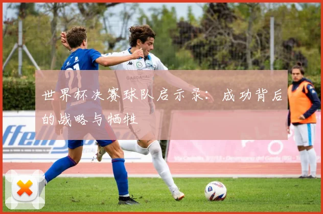 世界杯决赛球队启示录：成功背后的战略与牺牲