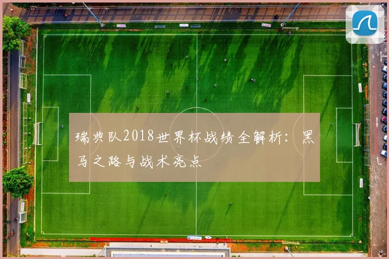 瑞典队2018世界杯战绩全解析：黑马之路与战术亮点