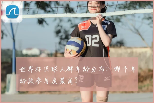 世界杯买球人群年龄分布：哪个年龄段参与度最高？