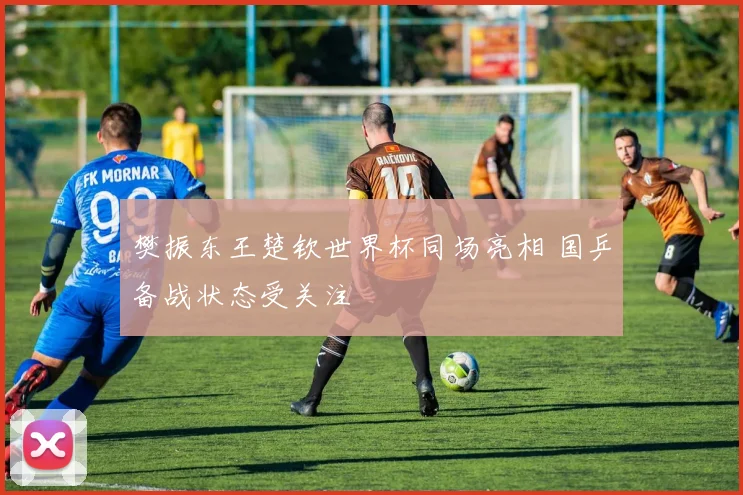 樊振东王楚钦世界杯同场亮相 国乒备战状态受关注