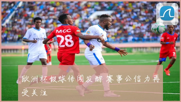 欧洲杯假球传闻发酵 赛事公信力再受关注