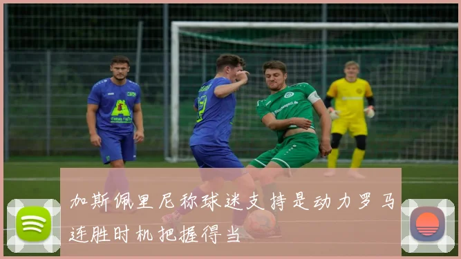 加斯佩里尼称球迷支持是动力罗马连胜时机把握得当