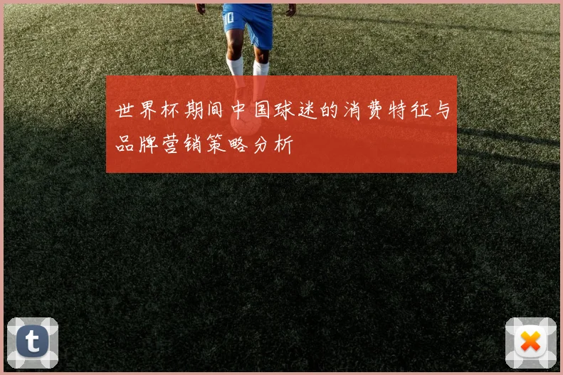 世界杯期间中国球迷的消费特征与品牌营销策略分析