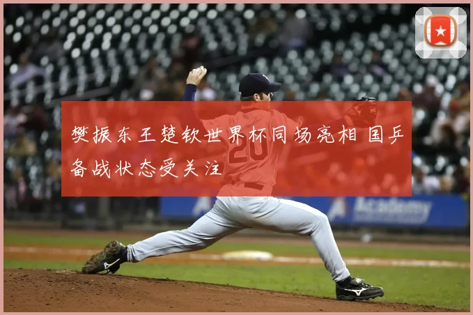 樊振东王楚钦世界杯同场亮相 国乒备战状态受关注