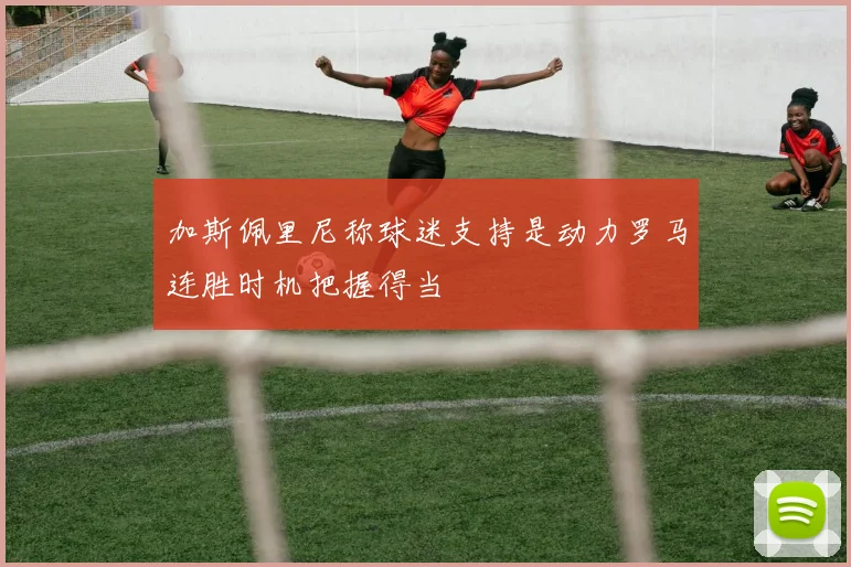 加斯佩里尼称球迷支持是动力罗马连胜时机把握得当
