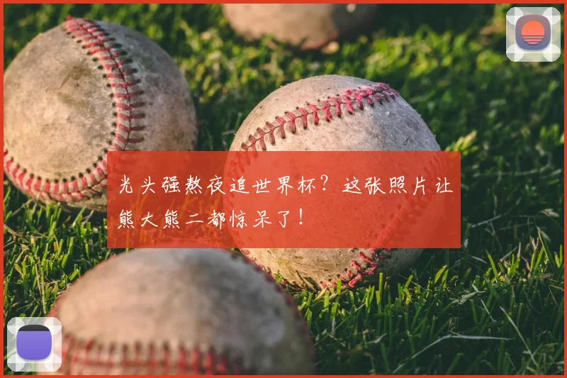 光头强熬夜追世界杯？这张照片让熊大熊二都惊呆了！
