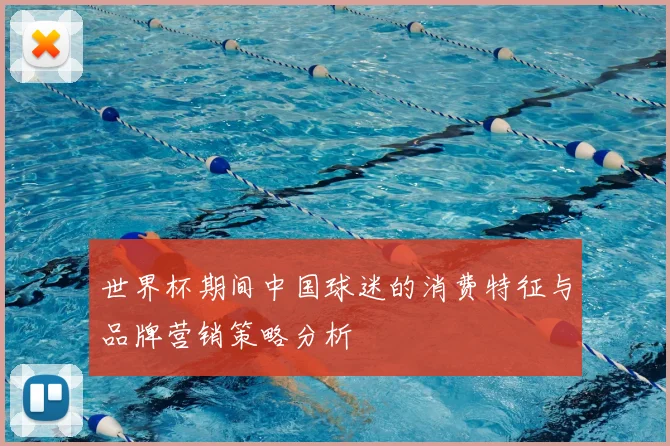 世界杯期间中国球迷的消费特征与品牌营销策略分析