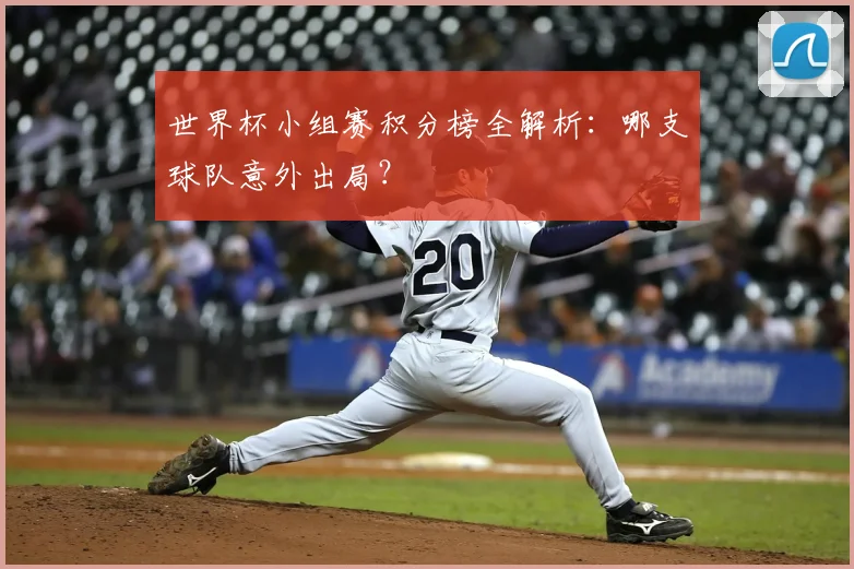 世界杯小组赛积分榜全解析：哪支球队意外出局？