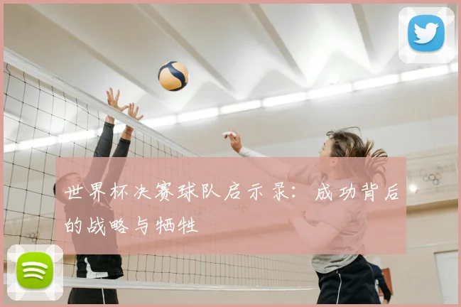 世界杯决赛球队启示录：成功背后的战略与牺牲