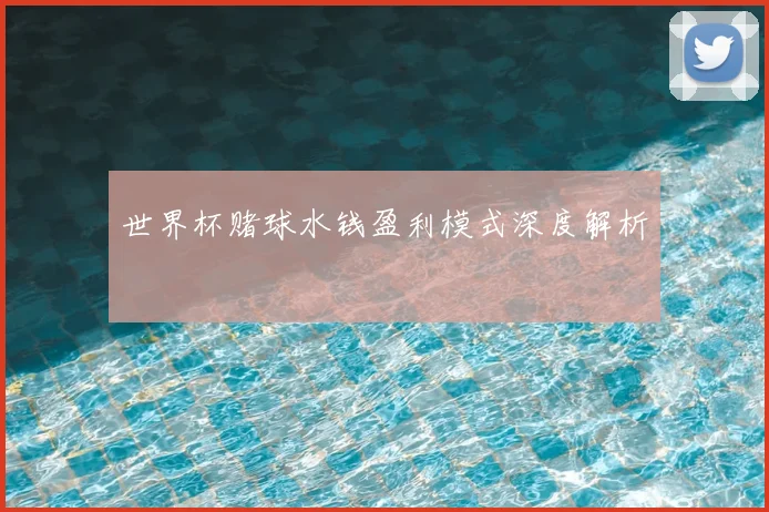世界杯赌球水钱盈利模式深度解析