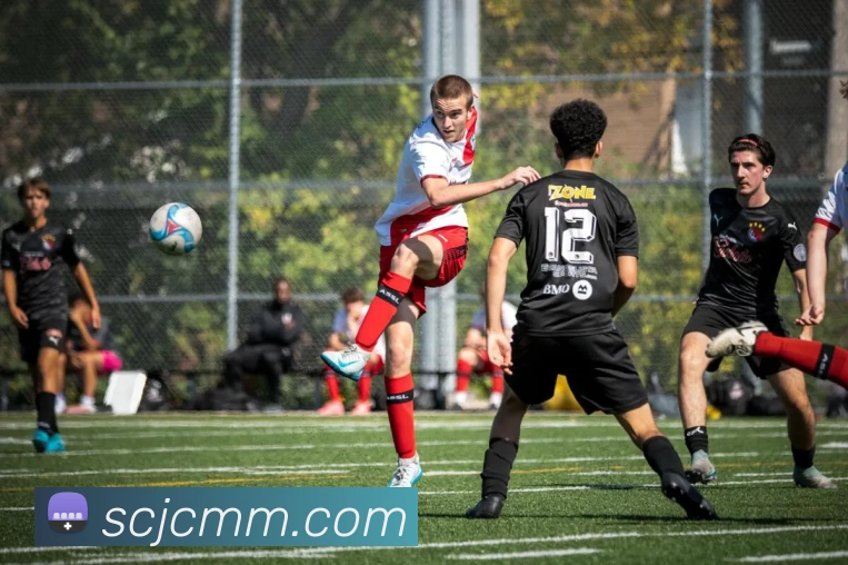 pg电子平台生态图